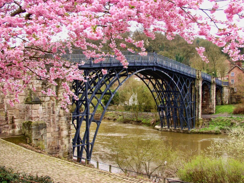 architectural architecture beautiful bloom